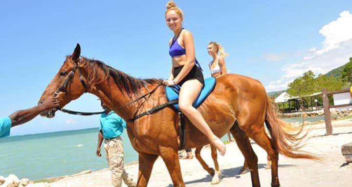 Villa @ The Palms - Ocho Rios Richmond Ngoại thất bức ảnh