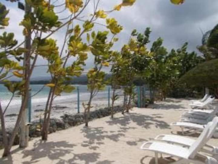 Villa @ The Palms - Ocho Rios Richmond Ngoại thất bức ảnh